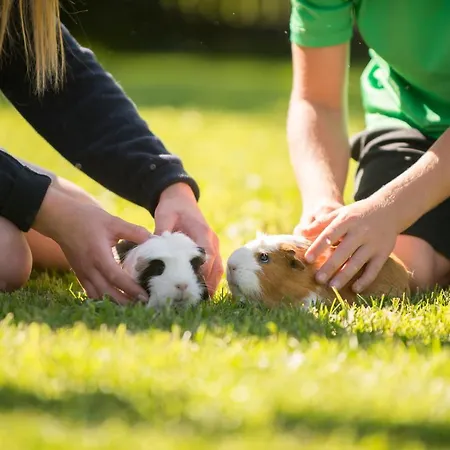 Ranstl Appartement *