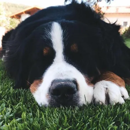 Апартаменты Ranstl